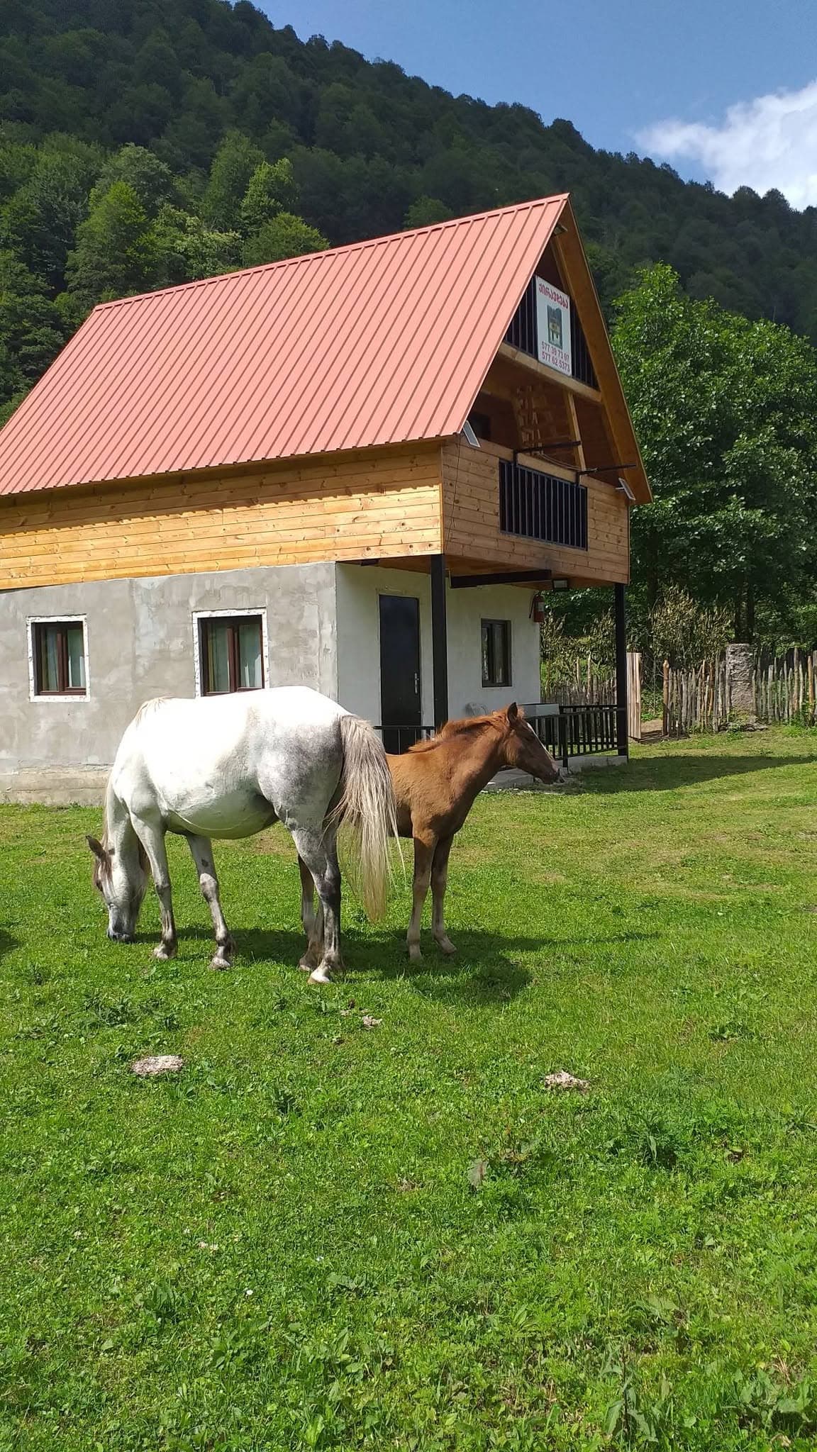 ეკო